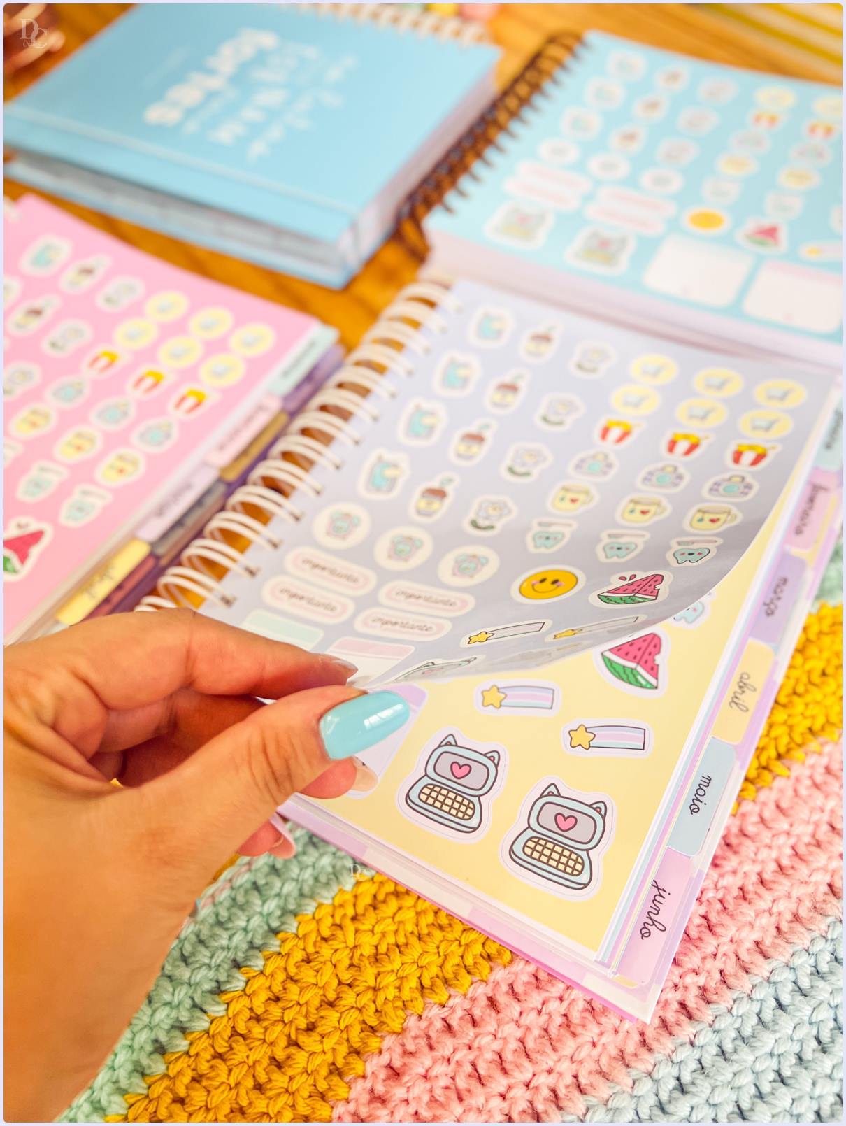 DC-Planner2023-5.jpg