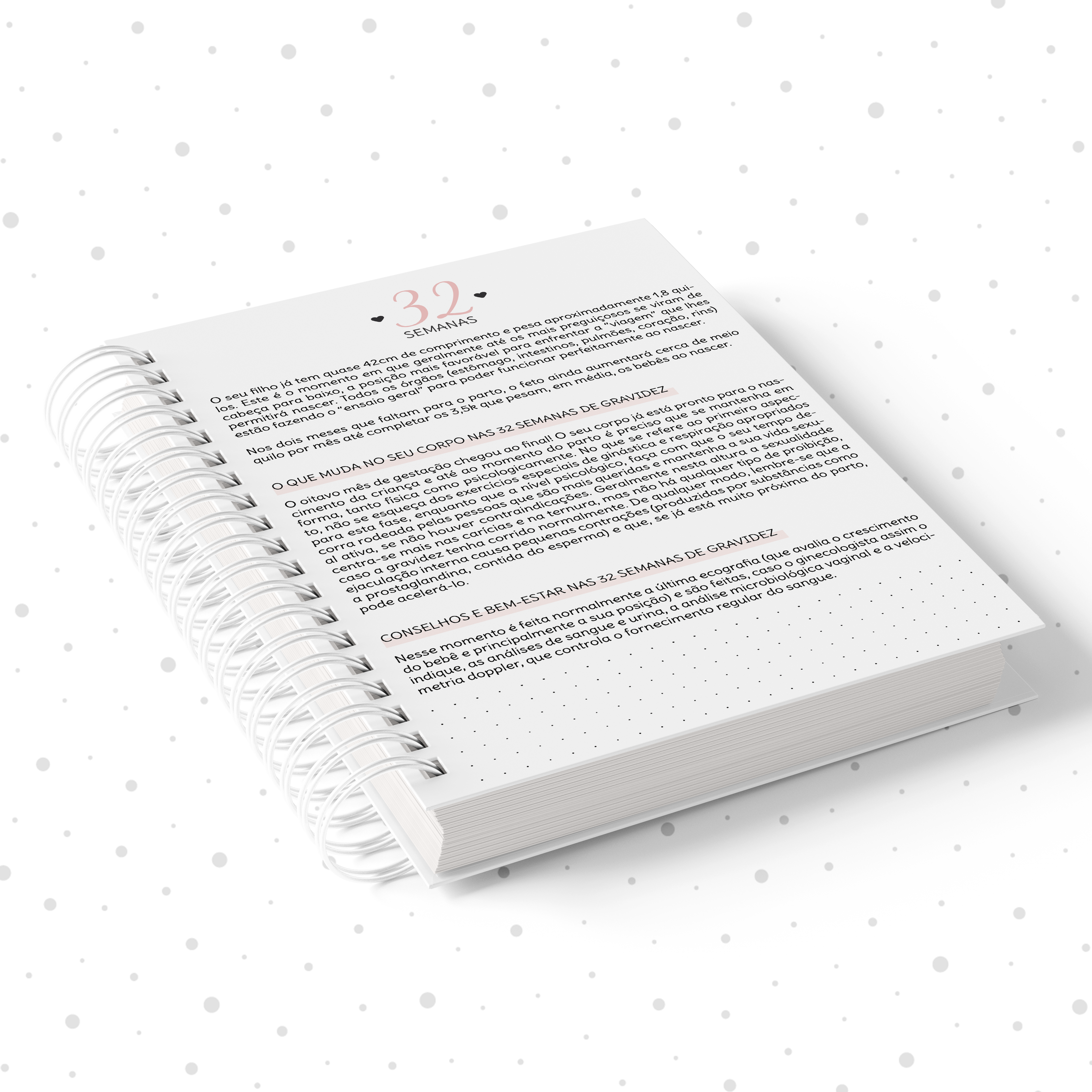 MOCKUP ROSA (1)