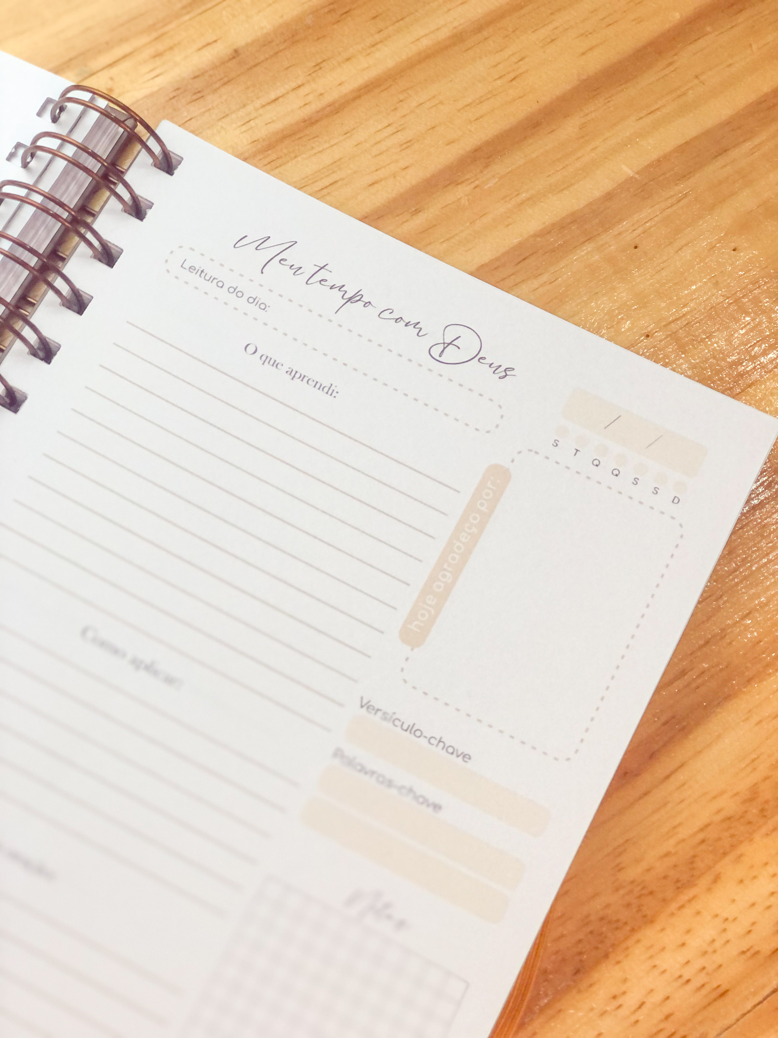 Planner-Devocional-Neutro-II-Ct-12.jpg