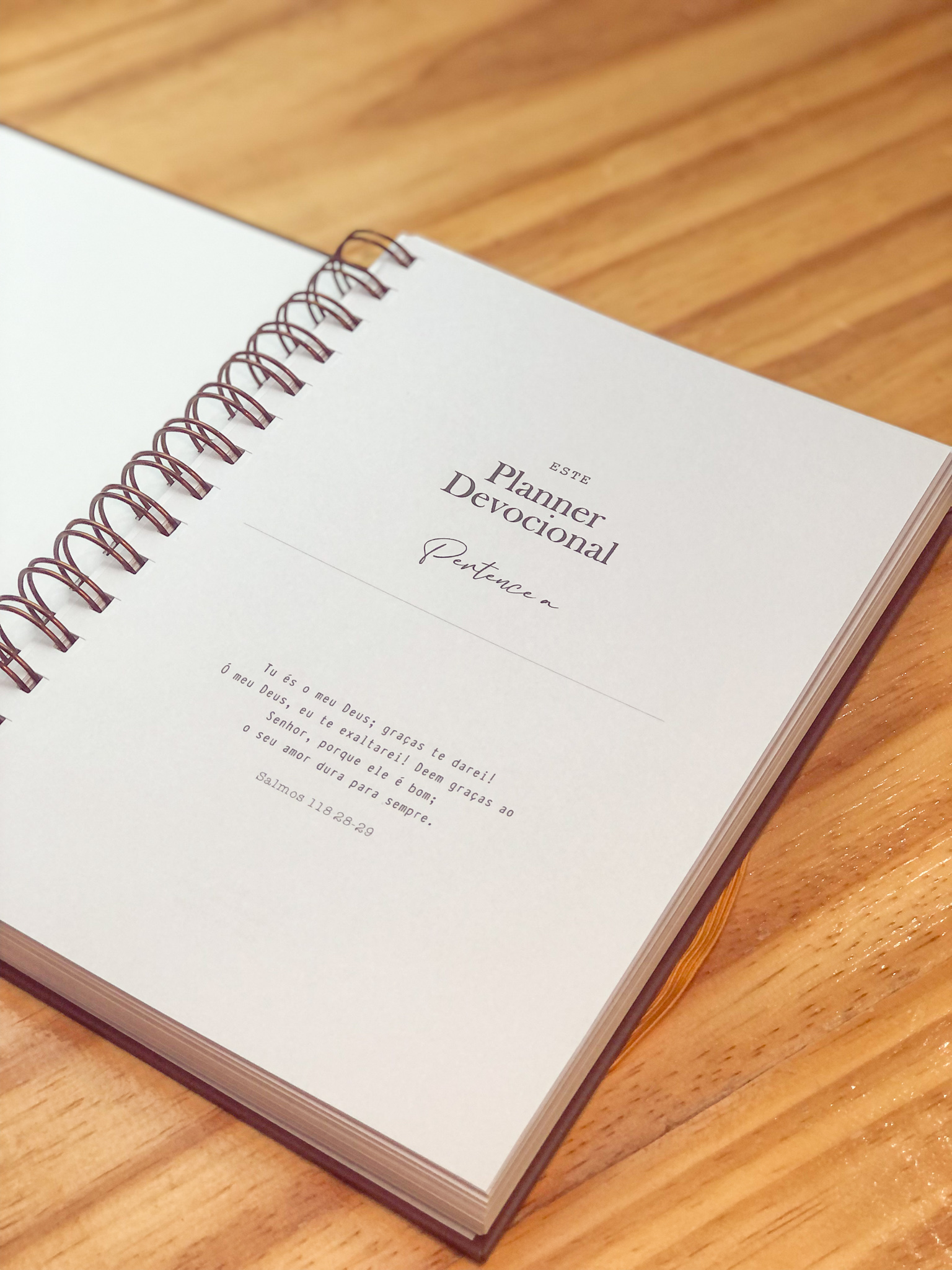Planner-Devocional-Neutro-II-Ct-3.jpg