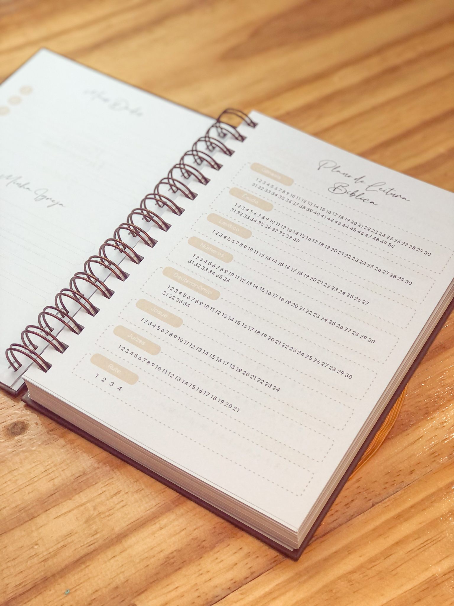 Planner-Devocional-Neutro-II-Ct-4.jpg