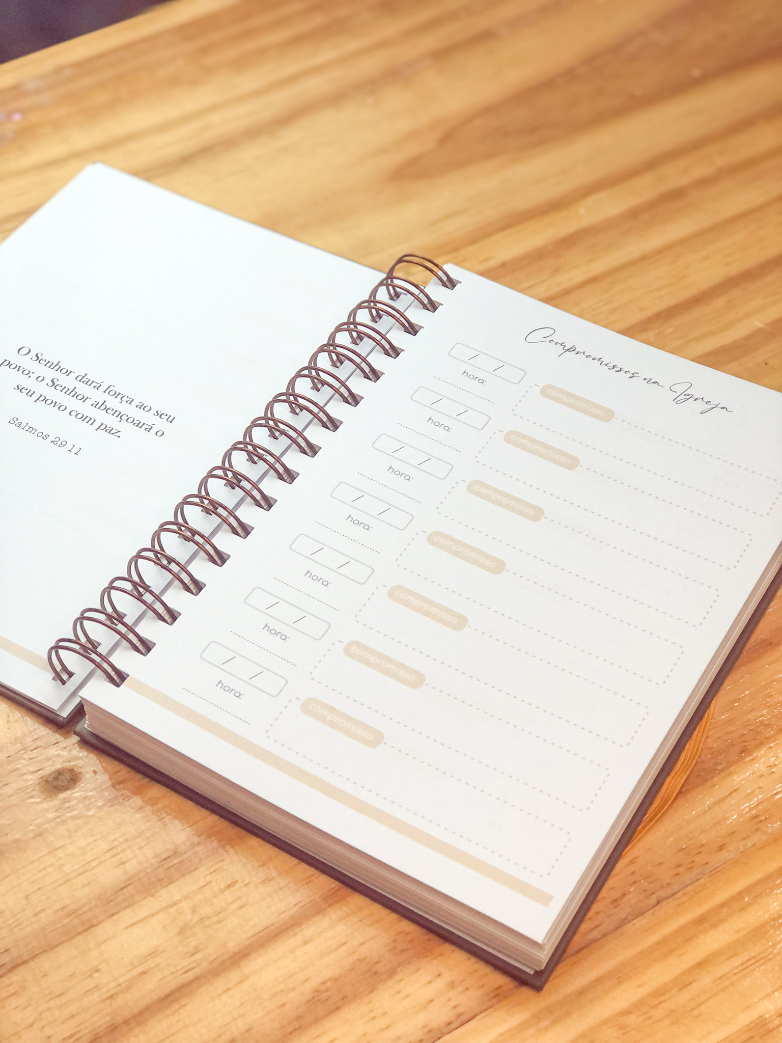 Planner-Devocional-Neutro-II-Ct-5.jpg